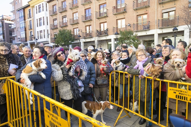 Bendición de las mascotas en San Miguel.  / EVA GARRIDO