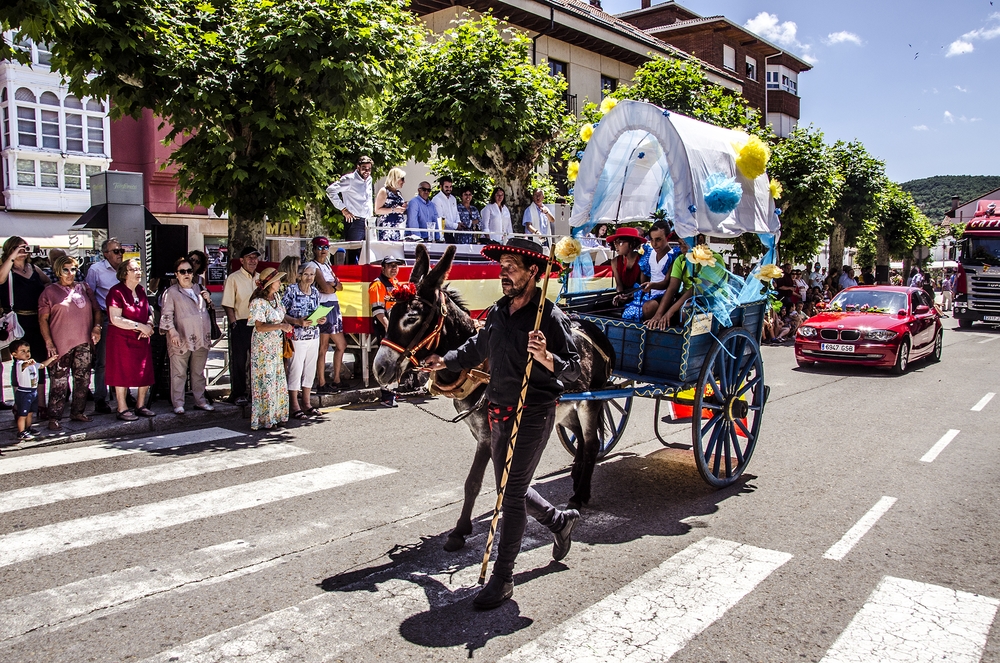 Desfile de Carrozas y Coches Engalanados en Cervera  / JUAN MAESTRO