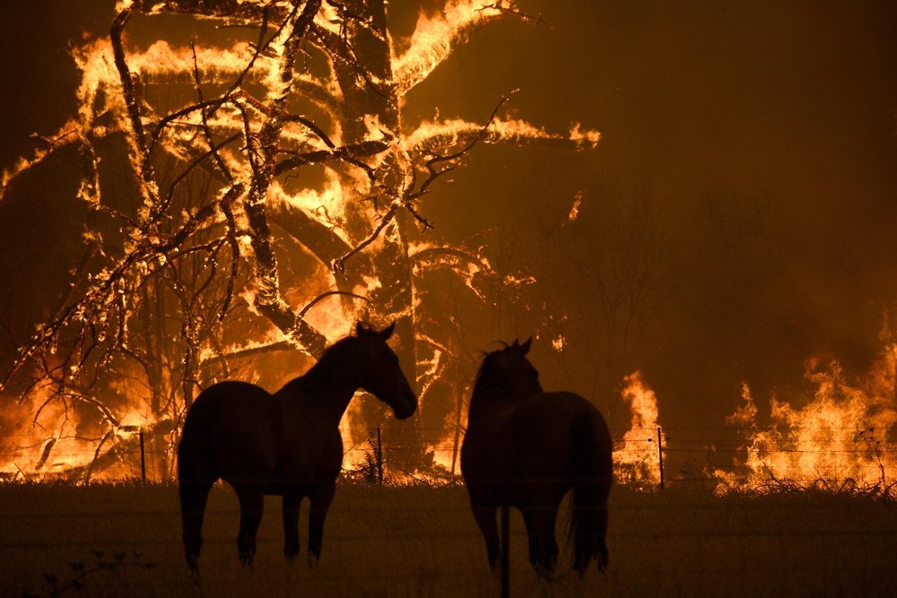 Centenares de incendios arrasan Australia