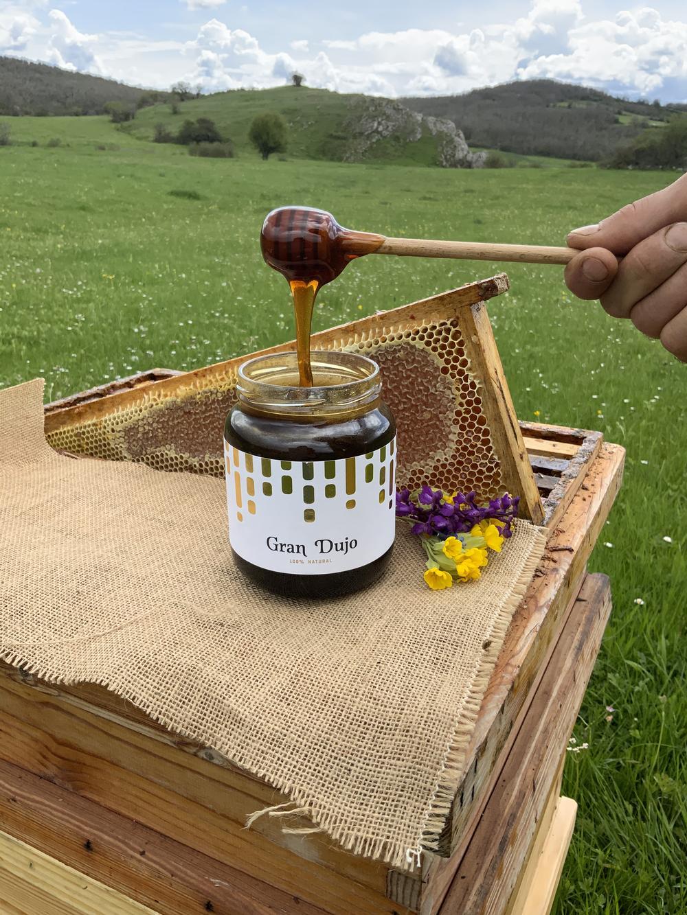 Un panal de rica miel de la montaña