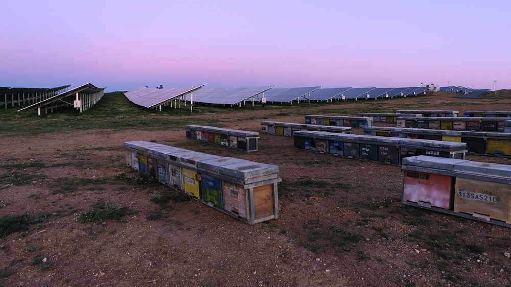 Iberdrola instala 162 colmenas en una planta fotovoltaica