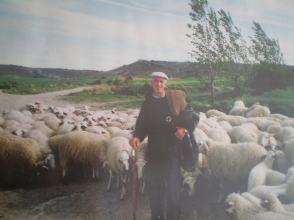 La memoria atávica de la lana