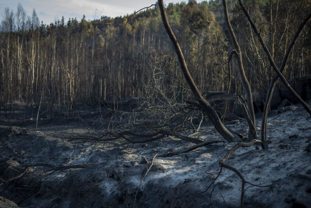 Incendio de Verín (Ourense)  / BRAIS LORENZO