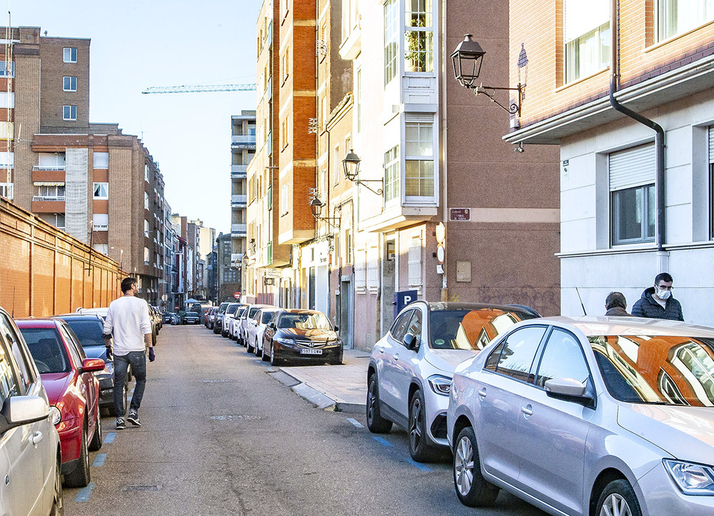 Calzada y aceras a nivel y 10 árboles para Mayor Antigua