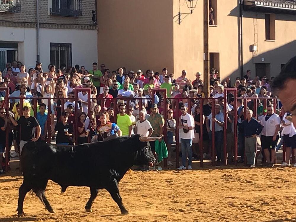 Encierro urbano, el toro de las peñas y caballistas en Paredes
