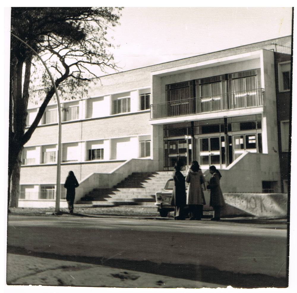 50 años de enseñanza en el instituto nuevo