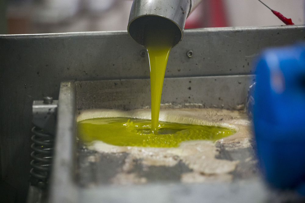 ¿Por qué se ha encarecido tanto el aceite de oliva?