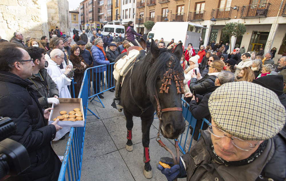 Manto protector animal y unos versos satíricos 