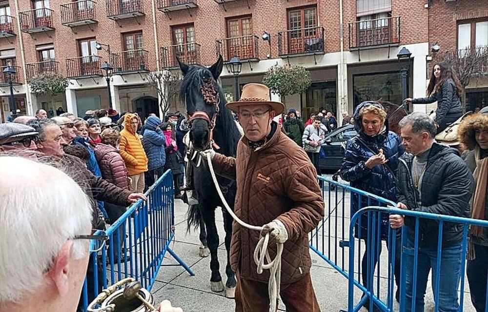 Reinado canino en la bendición de San Antón