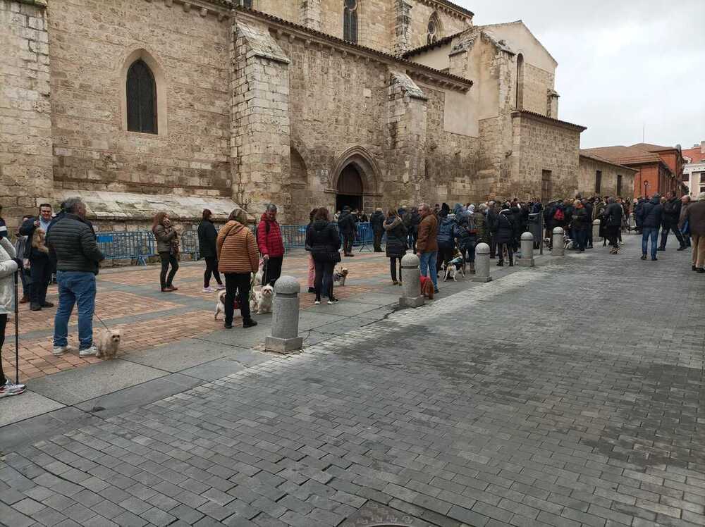 Reinado canino en la bendición de San Antón