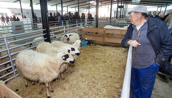 La Feria Churra se clausura con 5.000 visitantes