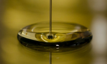 Nueva norma de calidad para el aceite de oliva