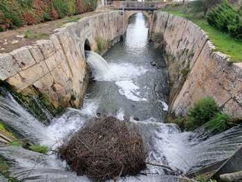 Lo que el Canal de Castilla esconde