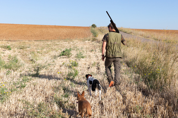 Un flojo inicio de la temporada de caza en Palencia