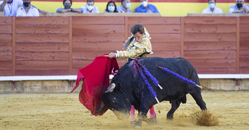 Los Chopera y Zúñiga (hijo) luchan por la plaza de toros