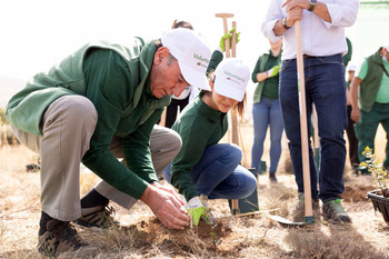 Voluntarios de Iberdrola plantan 800 árboles en Solosancho
