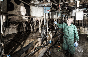 Ayudas directas al sector lácteo de hasta 35.000 euros