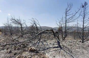 El incendio de Quintanilla de Coco baja a nivel 0 tras 5 días