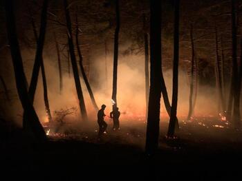 El incendio en el pinar de Saldaña se queda a 50m de las casas