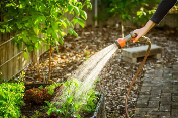 Barruelo sancionará con hasta 3.000 euros por regar el jardín