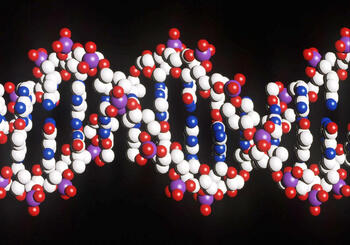 Rosalind Franklin, madre ‘repudiada’ del ADN
