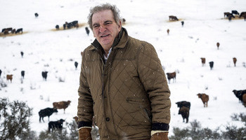 Burgos honra a Bañuelos por sus 30 años con los toros del frío