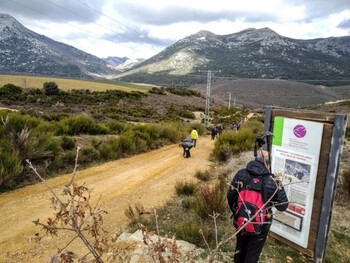 Una ruta circular de 9 km recorrerá  el monte Mayor