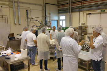 Itacyl apuesta por la fabricación de queso de pasta hilada