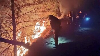 Estabilizado un incendio en León que ya ha arrasado 260 has.
