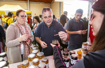 Palencia es la cuarta de CyL en producción de miel con 296 t