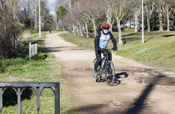 Aprueban el Plan de Movilidad Ciclista de Palencia