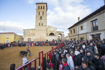 Palencia celebró 80 festejos taurinos en 2022