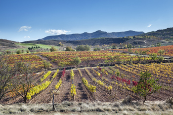 La Rioja, epicentro de la digitalización agroalimentaria