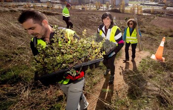 La Diócesis plantará 2.500 árboles en la provincia