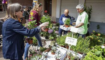 Una feria pasada por agua en Ampudia