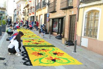 Pétalos que colorean las calles de Carrión