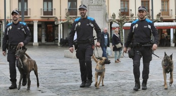 La unidad canina de la Policía Local se estrena con 3 multas
