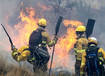 Los bomberos forestales tendrán psicólogos frente al estrés
